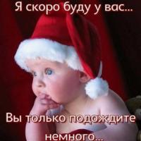 Viki