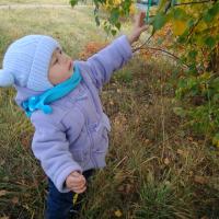 Юлия Чернова