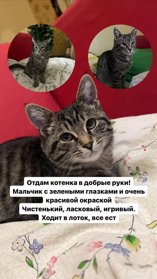 post image