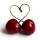 s.ashberry