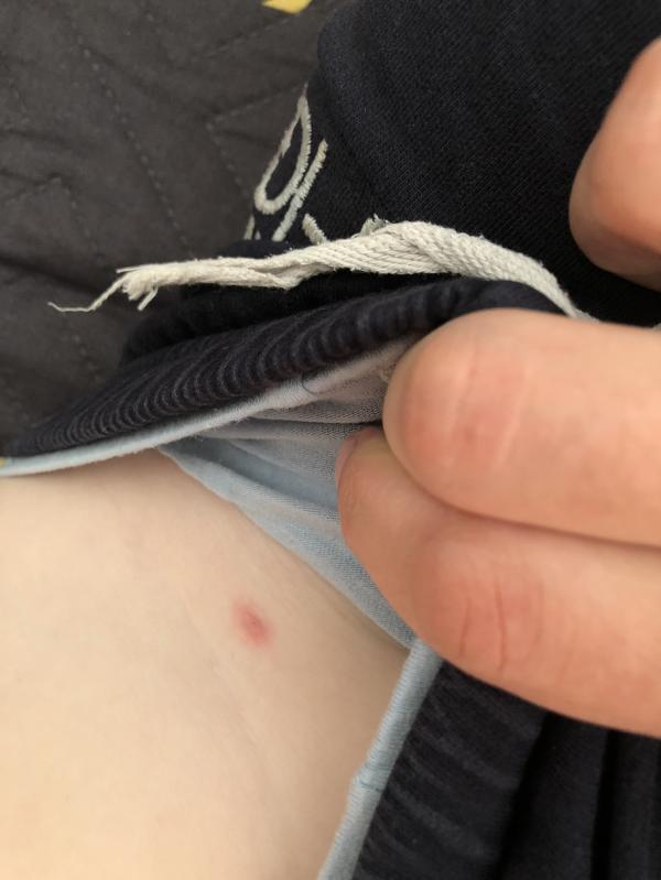 post image 5