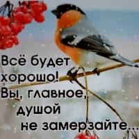 🎀Дарья🎀