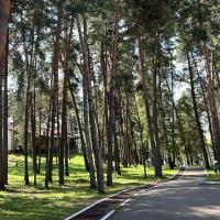 Антонина