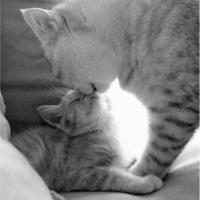 Лейсан Гатина