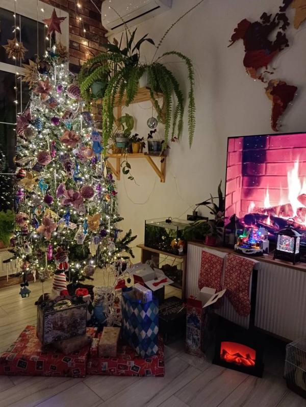 post image 5