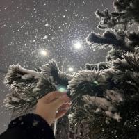 Карина
