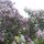 _4eremsha_