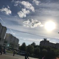 САД
