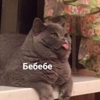 Анастасия 🤍