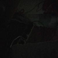 Анастасия Меньшикова
