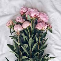 Рита 