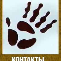 Ксения