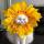 flovergirl