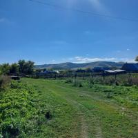 Альбина 