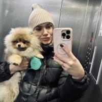 Vlada