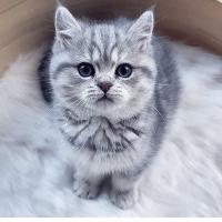 Хатима