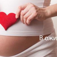 София 