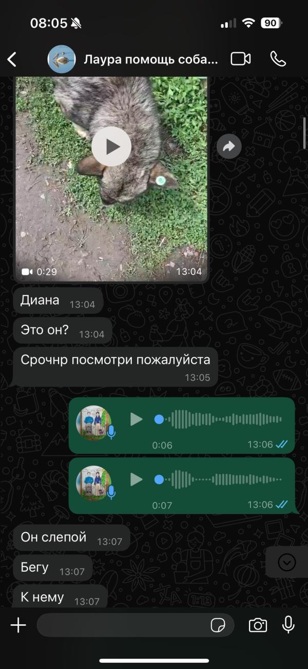 post image 5