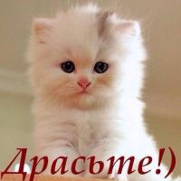 Safiay