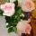 missisx90