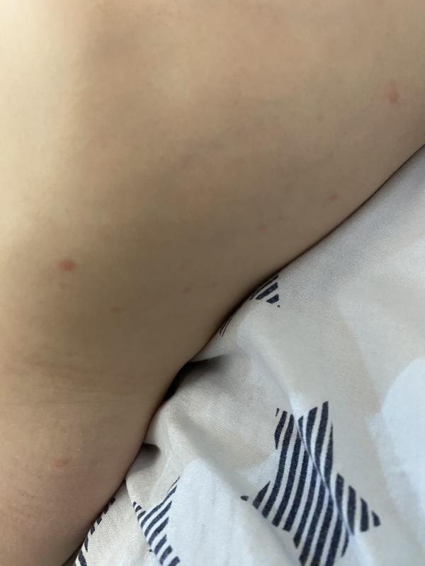post image 4