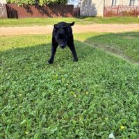 Екатерина Деревяшкина 