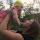 -zosya-