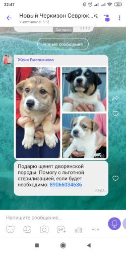 post image
