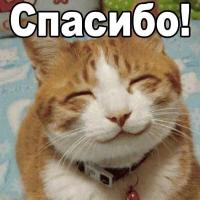 Ольга Серкова