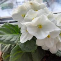 Марина