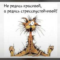 Салина 