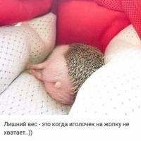 Гульнара
