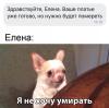 стикер