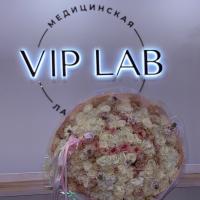 Vip_Lab