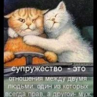 Mammmi