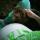 mommykateryna