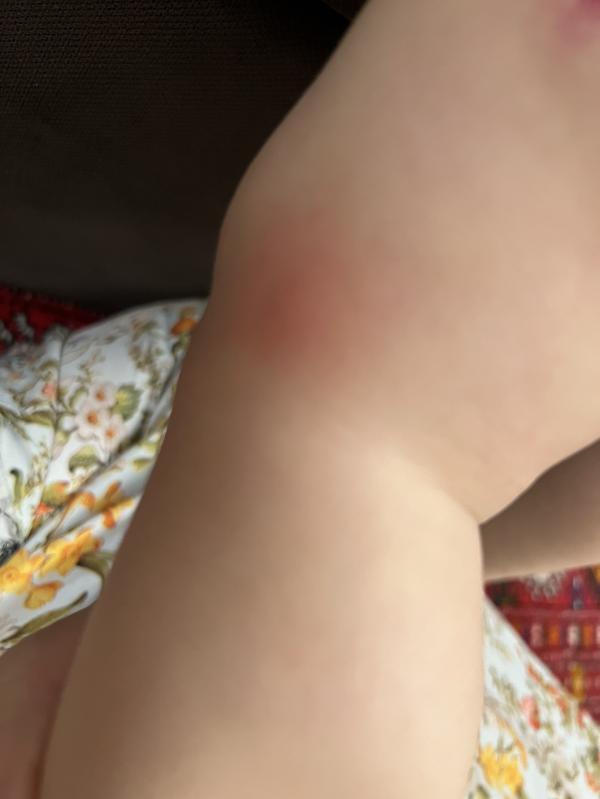 post image 5