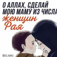 Хеда