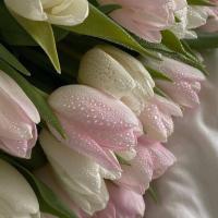 Н🌸🌸🌸