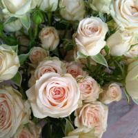 Татьяна Кот