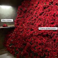 Амалия🌹
