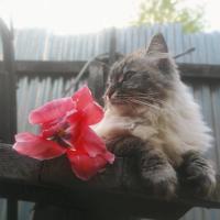 Ксения 