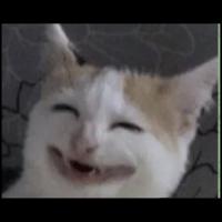 наида