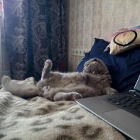 Анастасия