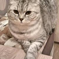 Oksanchik