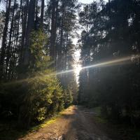 Катя