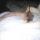 chita_