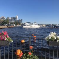 Дейси