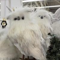 Виктория