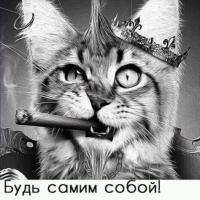 Анастасия34